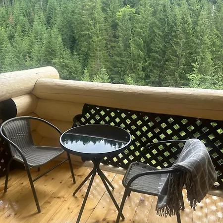 White House 3* Synevyrs'ka Polyana